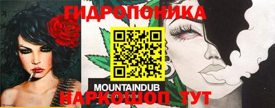 мяу мяу мука Ликино-Дулёво