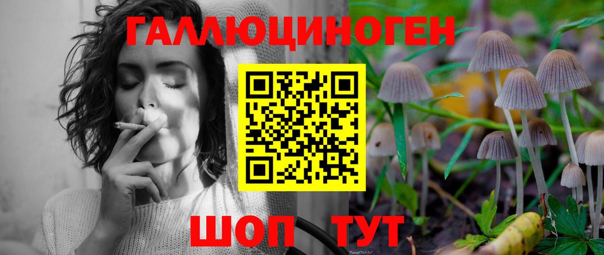 как найти закладки  Вход с VPN  Домодедово  Псилоцибиновые грибы Magic Shrooms 
